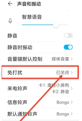皮皮陪玩免打扰设置方法