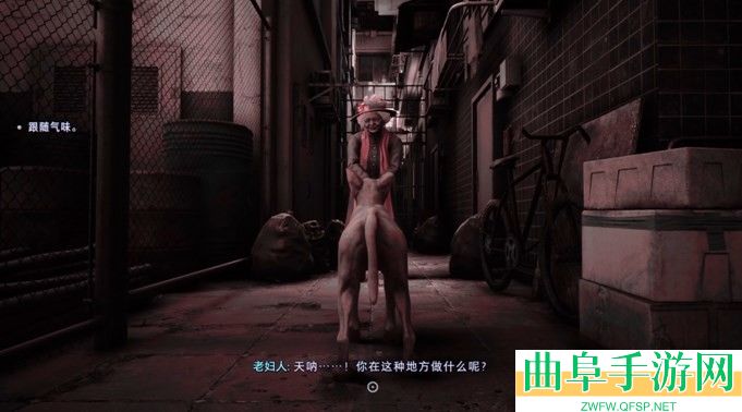 《野狗子:裂头怪》贝蒂在哪_神秘老太太位置必胜宝典