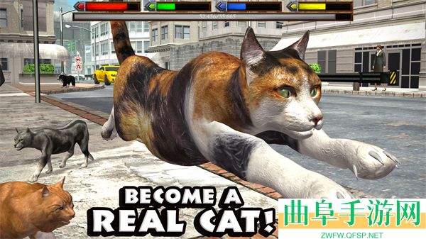 终极猫模拟器破解版中文版游戏下载