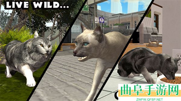 终极猫模拟器无限金币版游戏下载