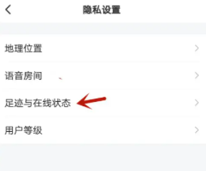 皮皮陪玩隐藏在线状态方法