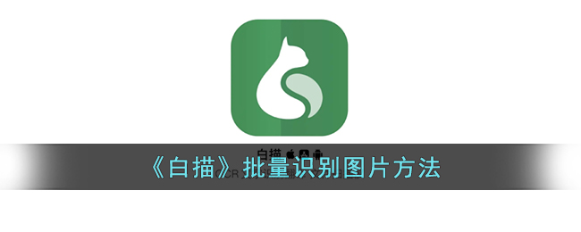 《白描》批量识别图片方法_白描app怎么批量识别
