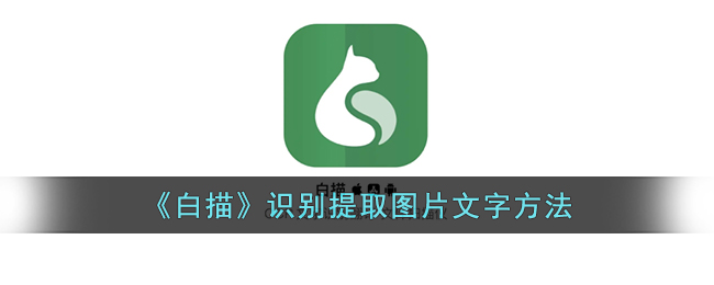 白描识别提取图片文字方法