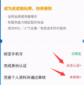 皮皮陪玩申请成为陪玩方法