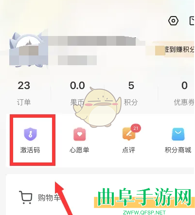 杉果查看激活码方法