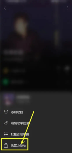 汽水音乐歌单仅自己可见设置方法
