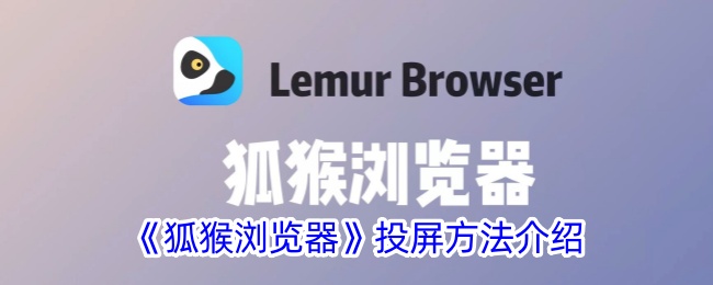 狐猴浏览器投屏方法介绍