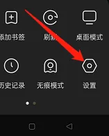 狐猴浏览器背景设置方法