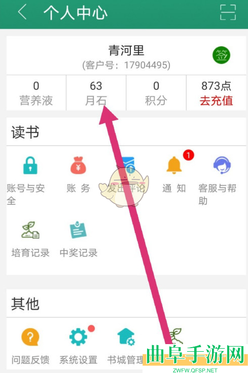 晋江小说阅读查看月石收支记录方法