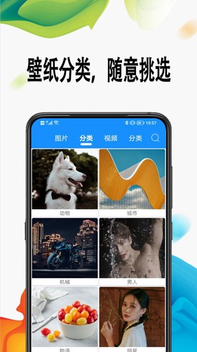 绵越壁纸最新版app下载