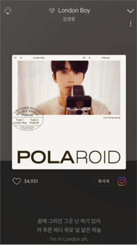 Melon2026最新版app下载