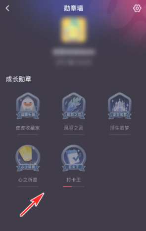 皮皮陪玩勋章查看方法