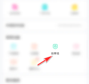 皮皮陪玩勋章查看方法