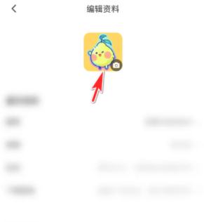 皮皮陪玩头像设置方法