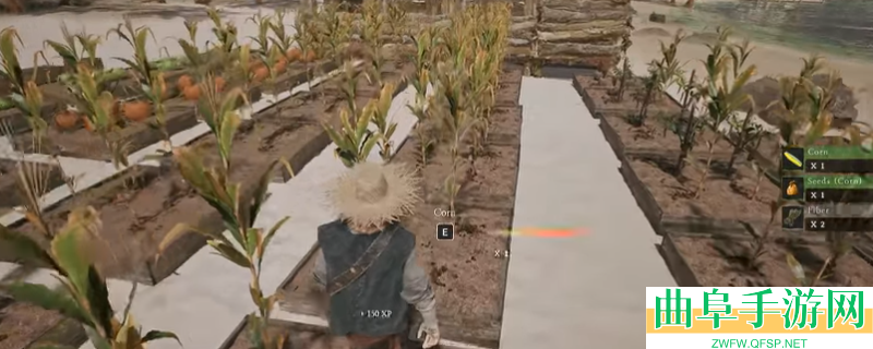 落日余晖游戏类型介绍