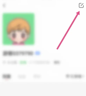 皮皮陪玩设置视频介绍方法