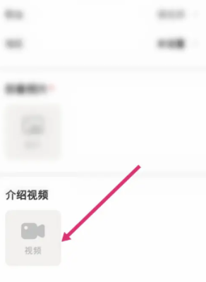 皮皮陪玩设置视频介绍方法