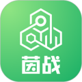 茵战app