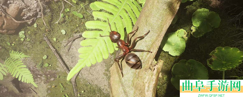 《蚂蚁帝国》游戏特色内容介绍_游戏特色内容介绍进阶提升攻略