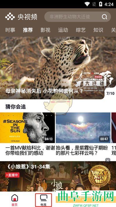 央视频回看电视节目方法