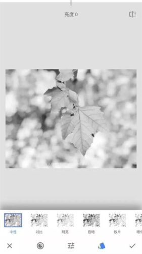 绿叶修图软件免费版app下载