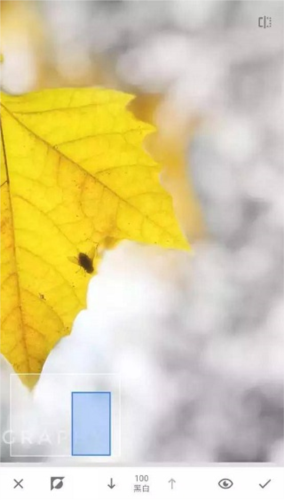 绿叶修图软件免费版app下载