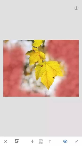 绿叶修图软件免费版app下载