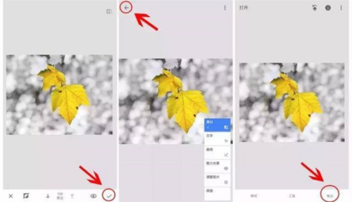 绿叶修图软件免费版app下载