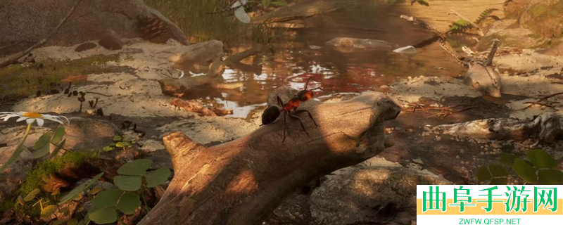 蚂蚁帝国游戏豪华版内容介绍