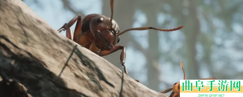 蚂蚁帝国游戏类型介绍