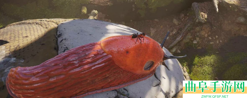 蚂蚁帝国游戏配置要求介绍