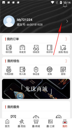 龘藏拍卖app下载