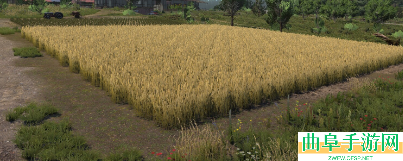 农夫王朝2游戏开发公司介绍