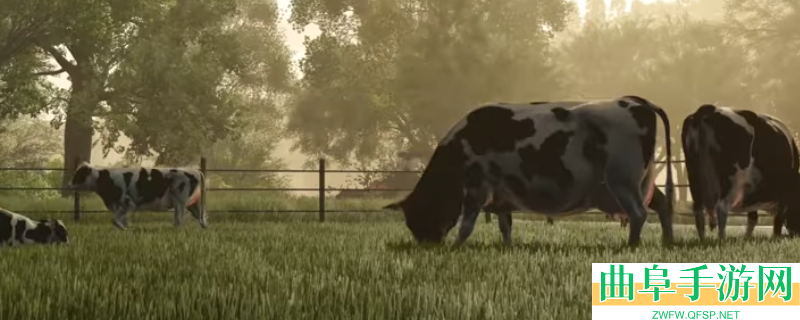 《模拟农场25》游戏游玩平台介绍_游戏游玩平台介绍关键秘诀