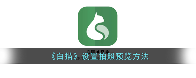 《白描》设置拍照预览方法_白描怎么修改拍照预览