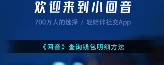 回音查询钱包明细方法