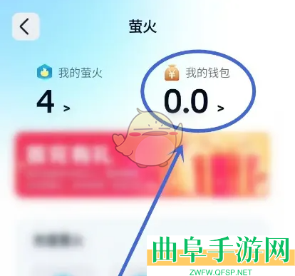 回音查询钱包明细方法
