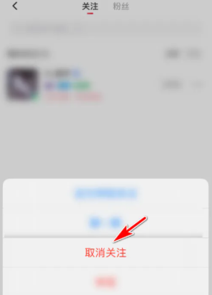 皮皮陪玩取消关注方法