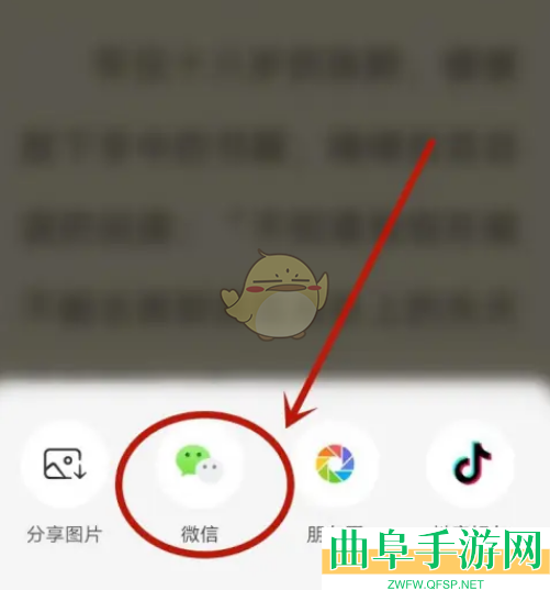 番茄小说分享链接方法