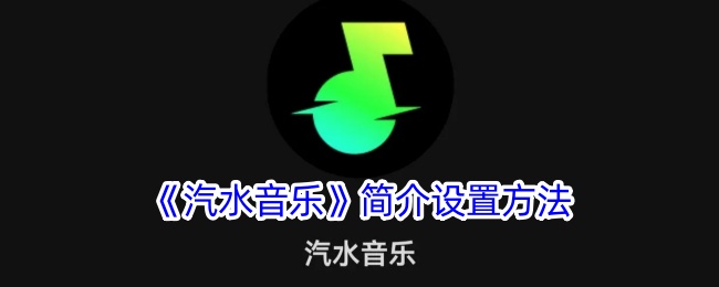 汽水音乐简介设置方法